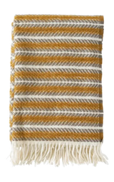 Plaid Oscar Multi