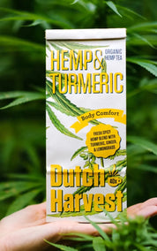 Dutch Harvest Hemp Tea - Hemp Turmeric