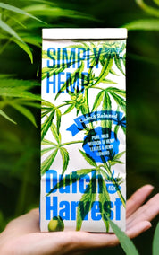 Dutch Harvest Hemp Tea - Simply Hemp