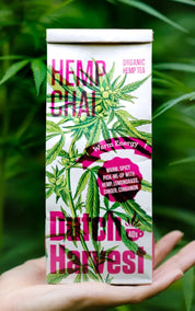 Dutch Harvest Hemp Tea - Hemp Chai