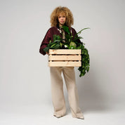 Gofranck Jacket Misty