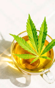 Dutch Harvest Hemp Tea - Hemp Chai