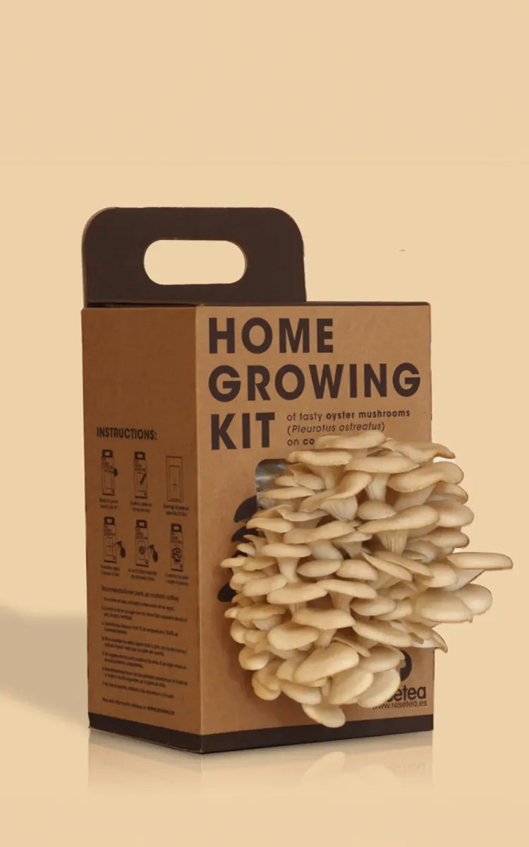 Resetea DIY Mushroom Farm Kit