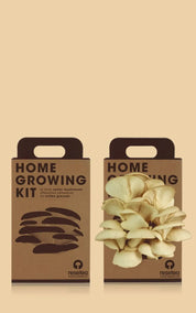 Resetea Home Growing Kit Mushroom