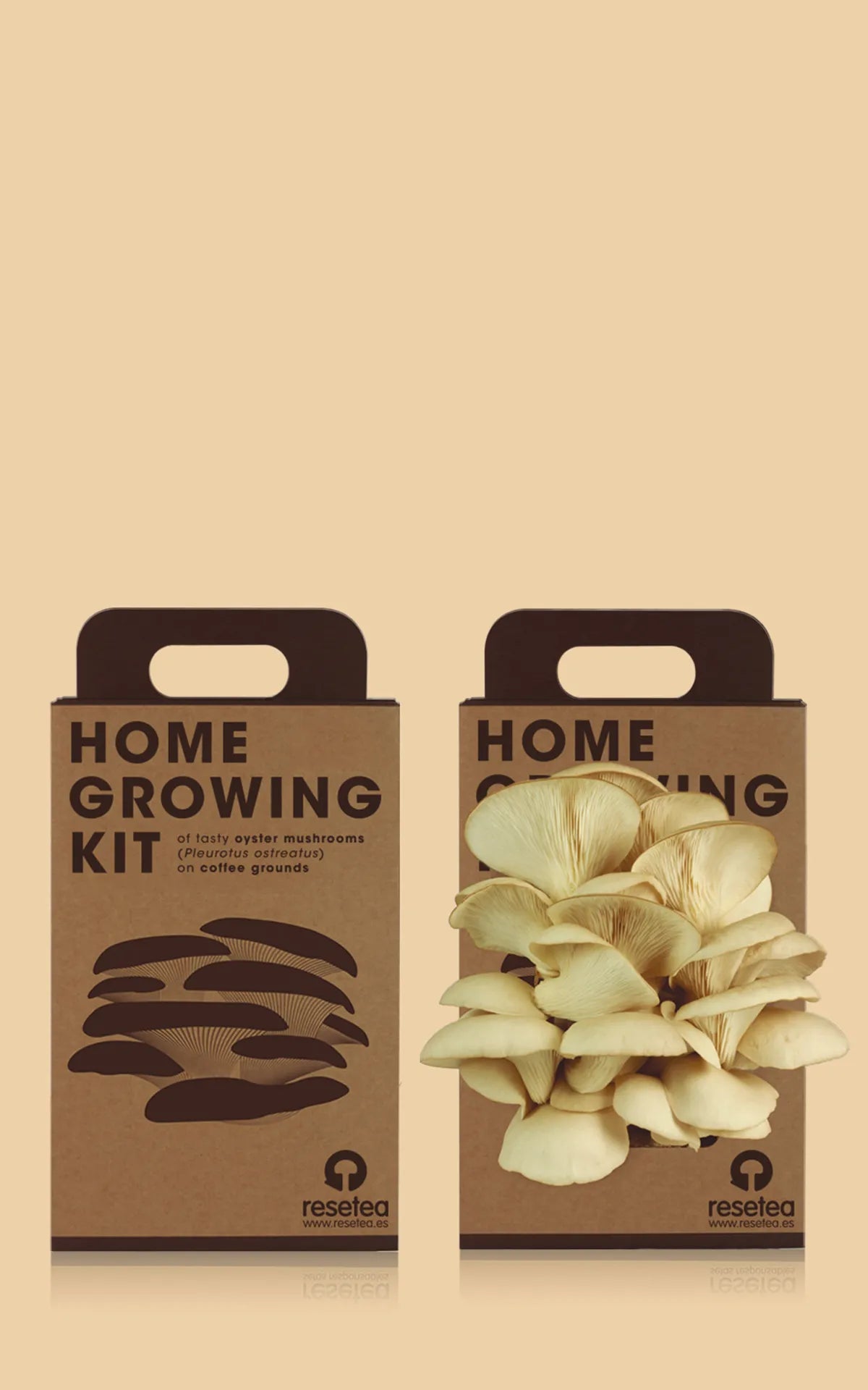 Home-Growing-Kit-Resetea-7.webp