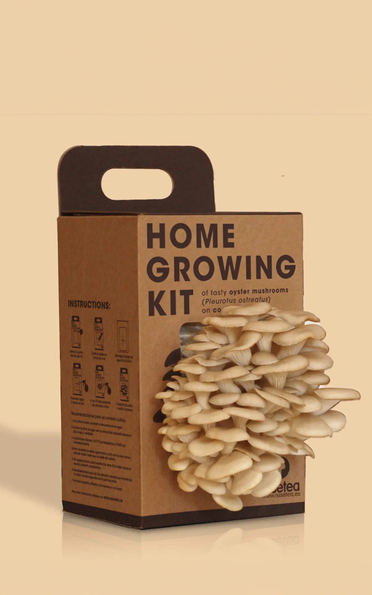 Home-Growing-Kit-Resetea.webp