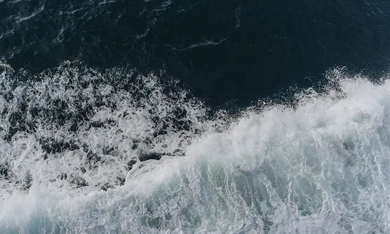 Home-Ocean.webp