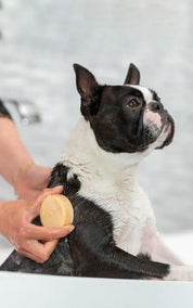 HappySoaps Dog Shampoo Bar - Short-Haired Dogs