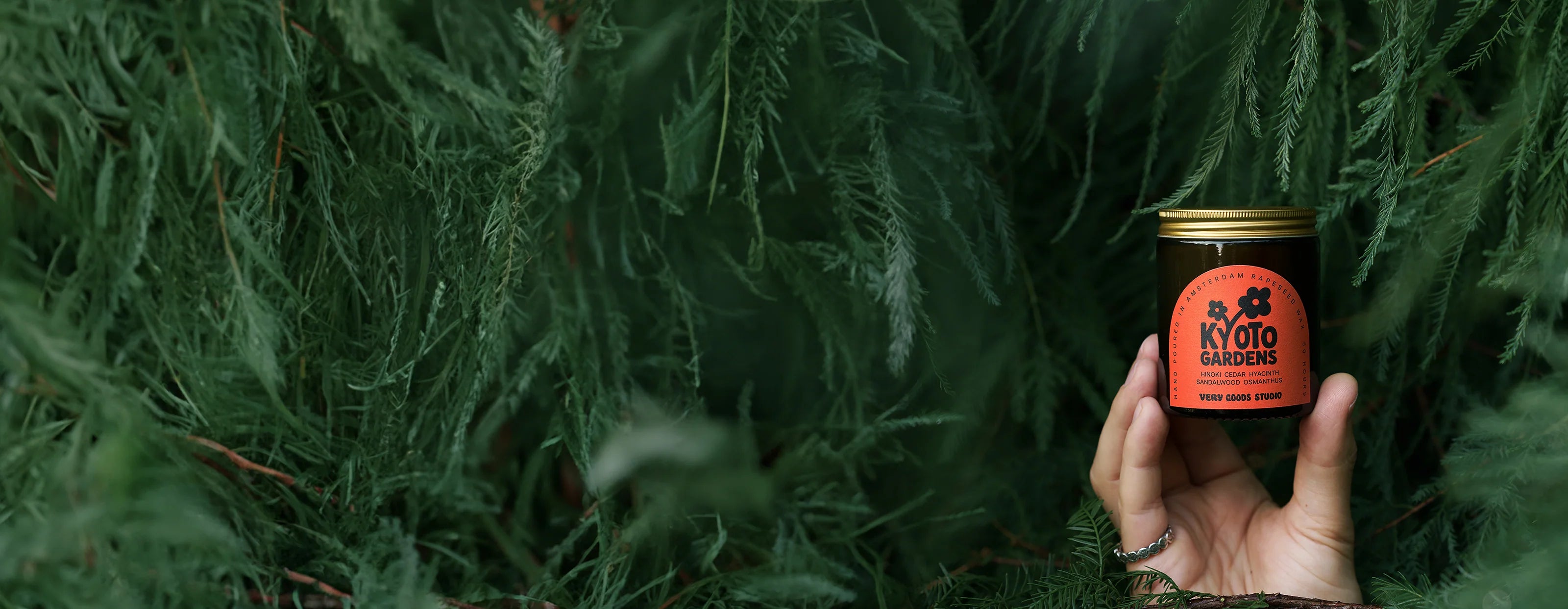 KG_banner_banner.webp