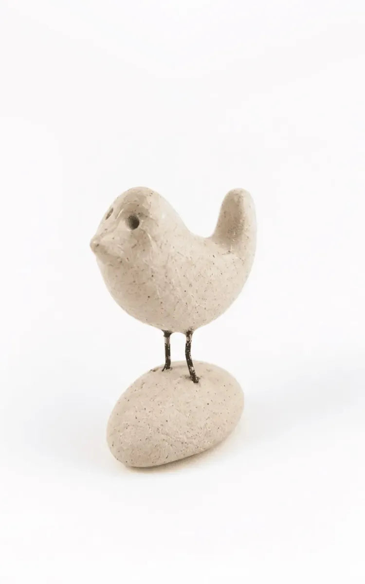 Studio-Flash Happy Bird Day