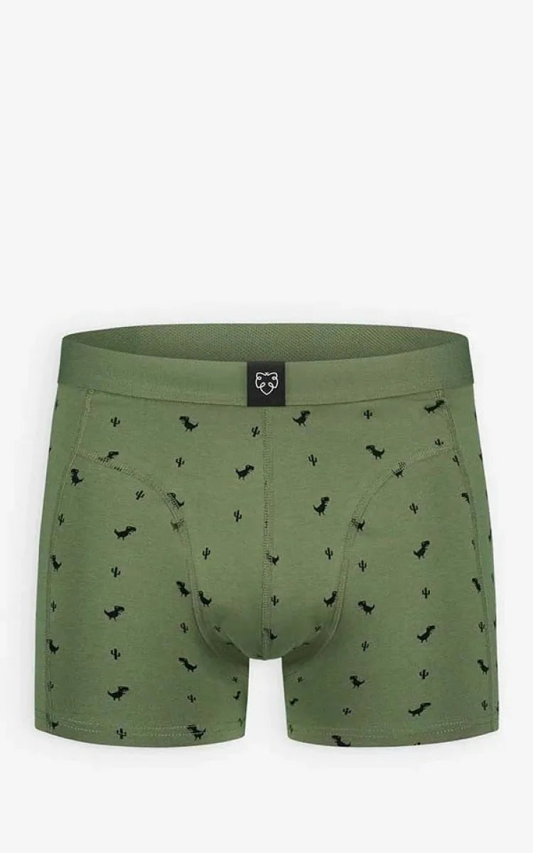 A-dam Underwear Boxer Brief 8Bit Dino