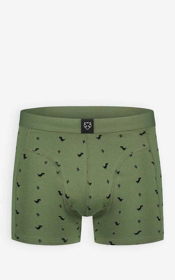 Boxer Brief 8Bit Dino