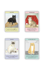 Bis Publishers Cat Gurus
