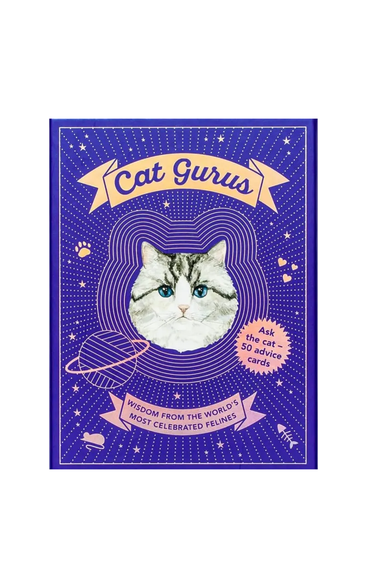 Bis Publishers Cat Gurus