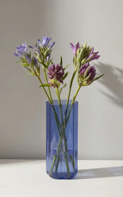TRANQUILLO Vase Rainbow
