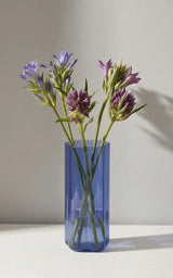 Vase Rainbow