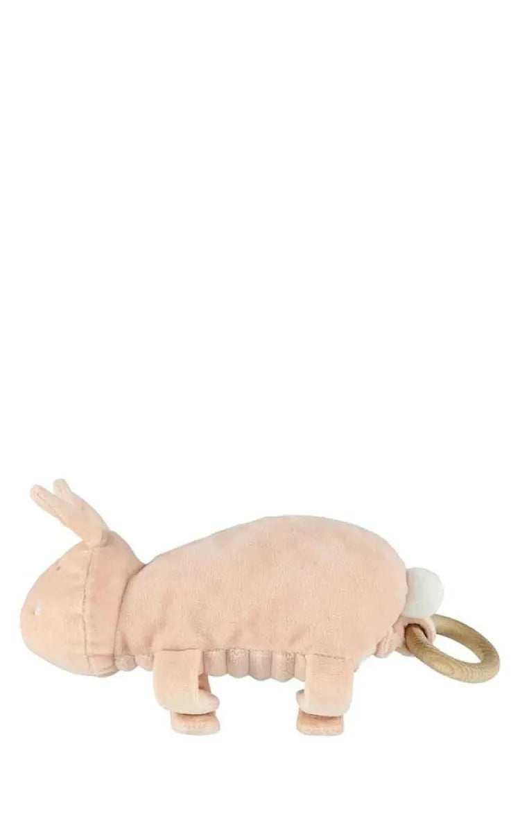 Trixie Music Toy Mrs Rabbit