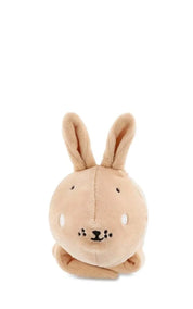 Trixie Music Toy Mrs Rabbit