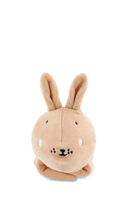Music Toy Rabbit