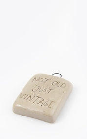 Studio-Flash Not Old Just Vintage