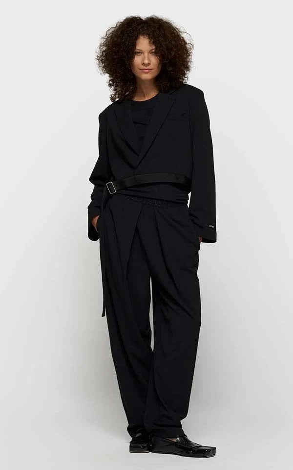 Pants Pleated