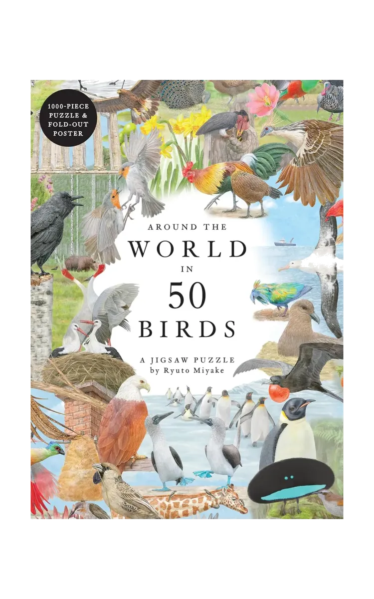 Bis Publishers Around The World In 50 Birds