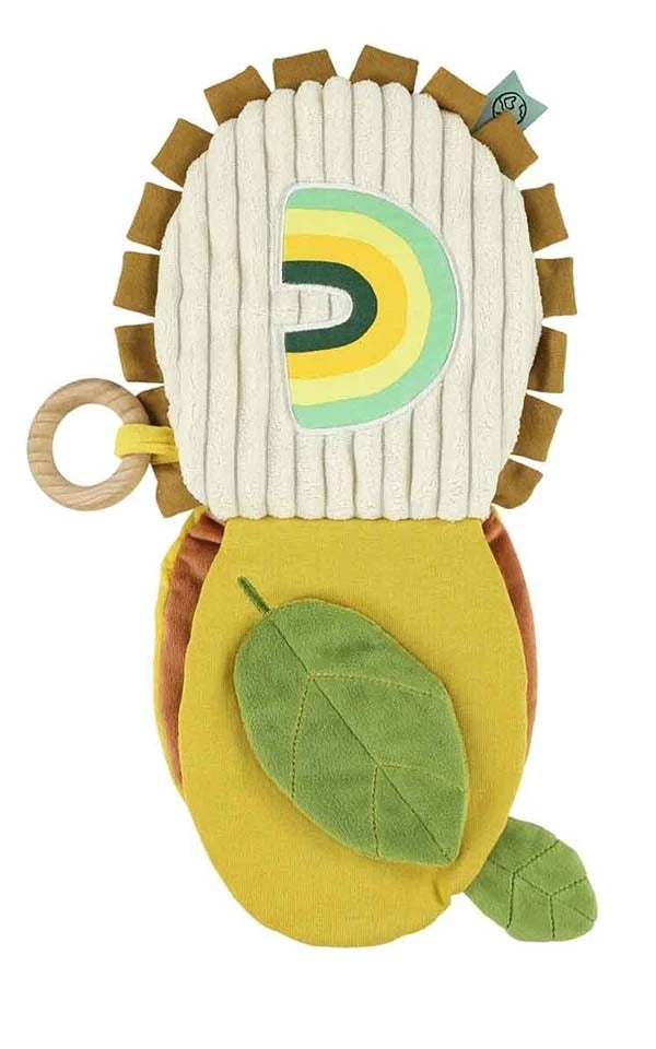 Sensory Book Lion