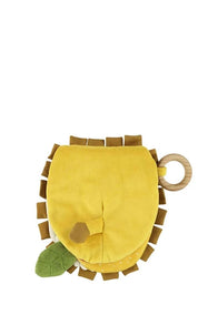 Sensory Book Lion