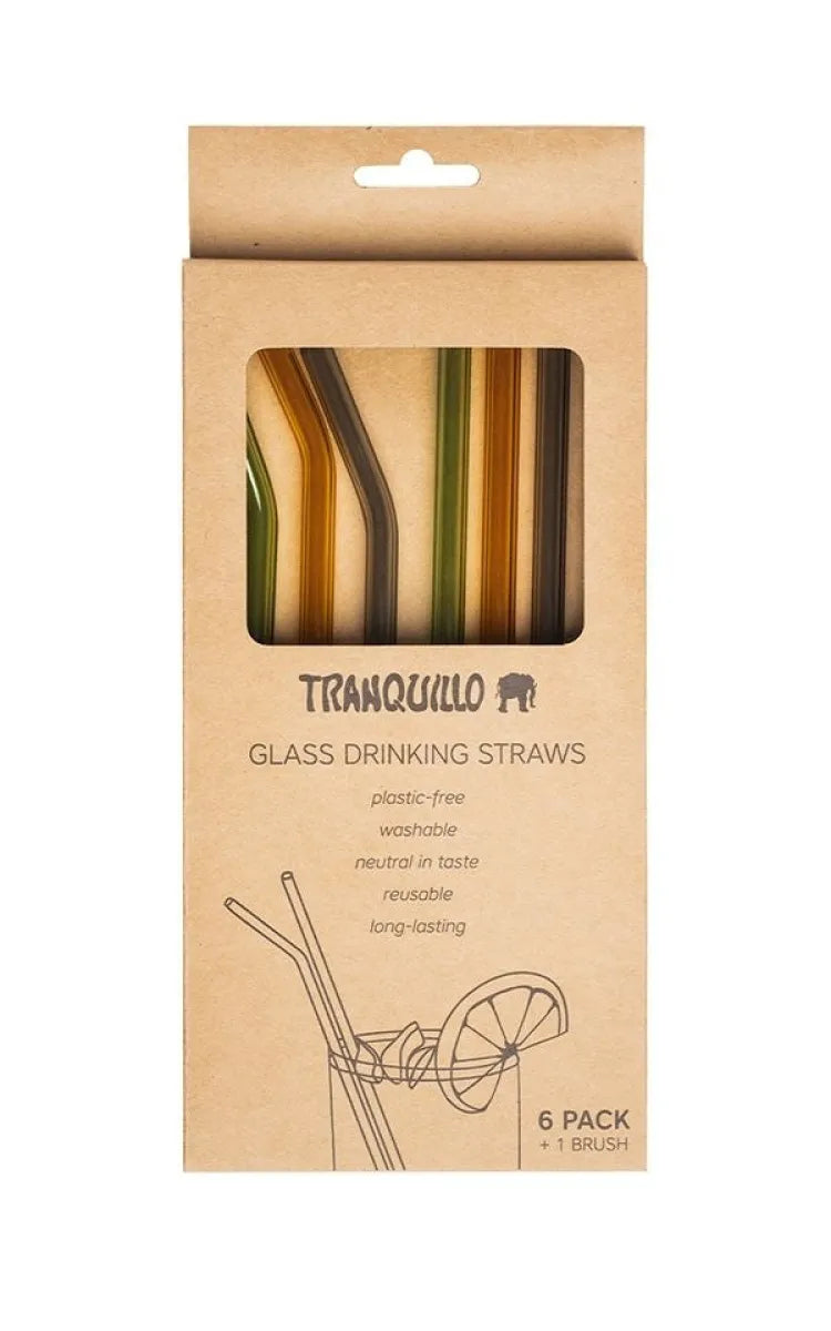 TRANQUILLO Straws Glass  Set of 6 - Colorful