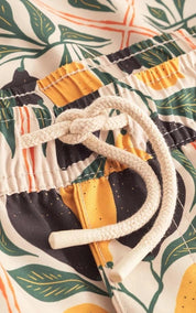Swim Shorts Sandhamn