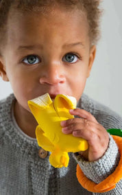 Oli & Carol Teether Ana Banana