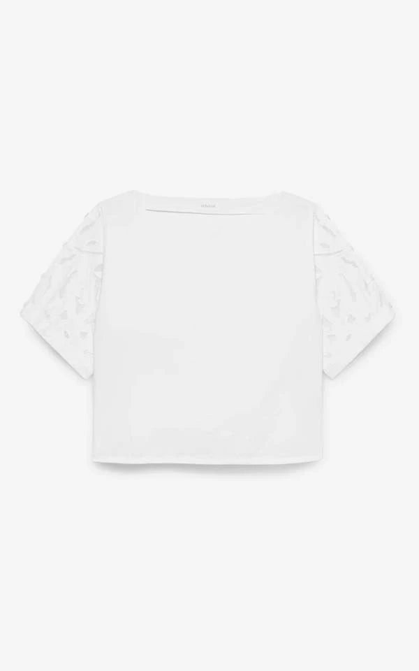 Top Lotus