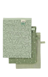 Washandjes 3-pack D Dappere Dino