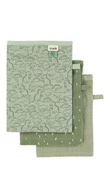 Washcloth 3-pack Daring Dino