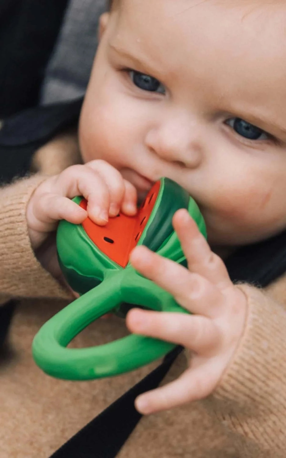 Watermelon Rattle Toy