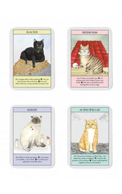 Bis Publishers Cards - Cat Gurus